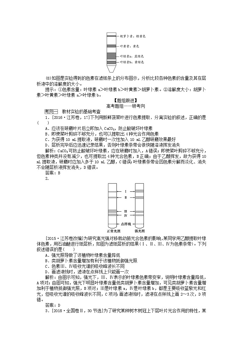 高考生物一轮复习高考必考教材实验七 绿叶中色素的提取与分离（含解析）第2页