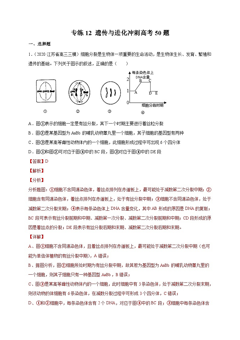高考生物三轮冲刺高分突破练习专练12 遗传与进化冲刺高考50题-（含解析）01