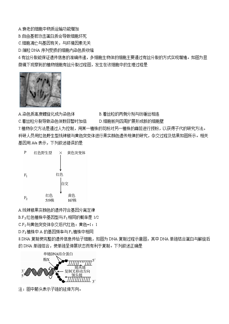 广东省茂名市一中2022—2023学年高一下学期期末生物试题02