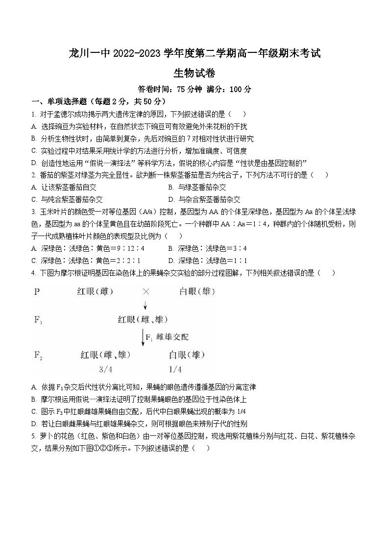 广东省河源市龙川县一中2022-2023学年高一下学期期末生物试题01