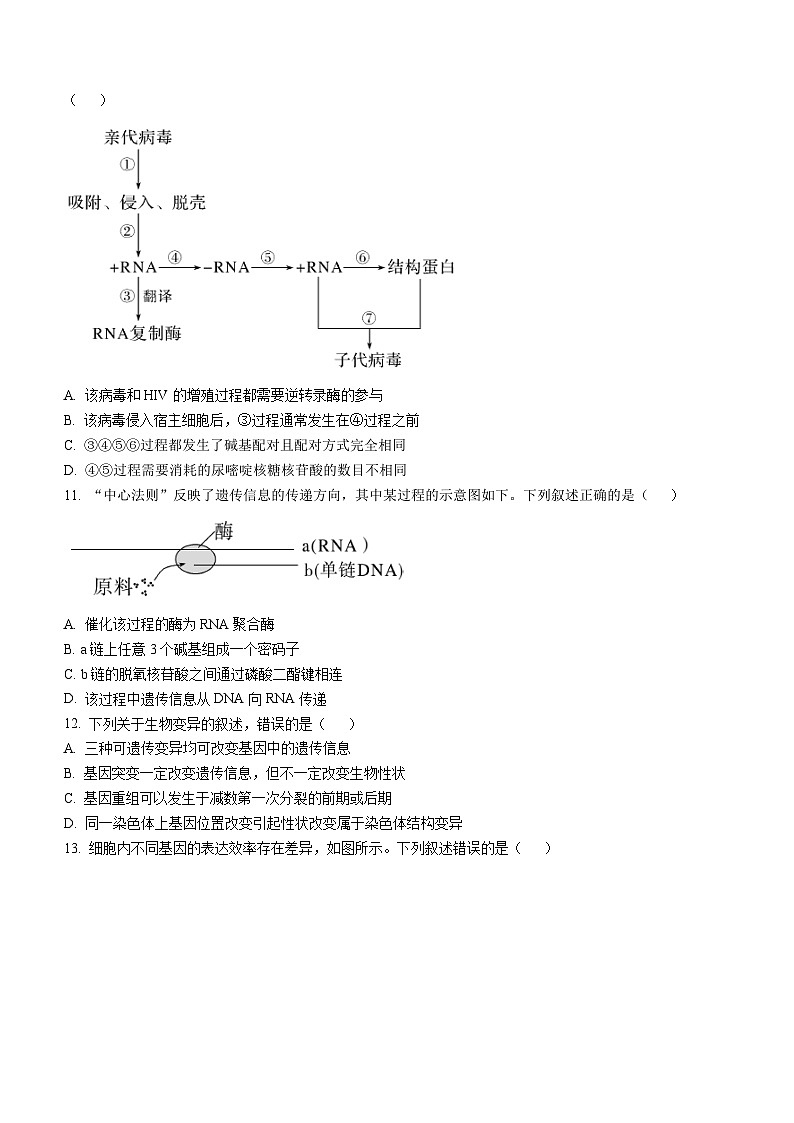 广东省河源市龙川县一中2022-2023学年高一下学期期末生物试题03