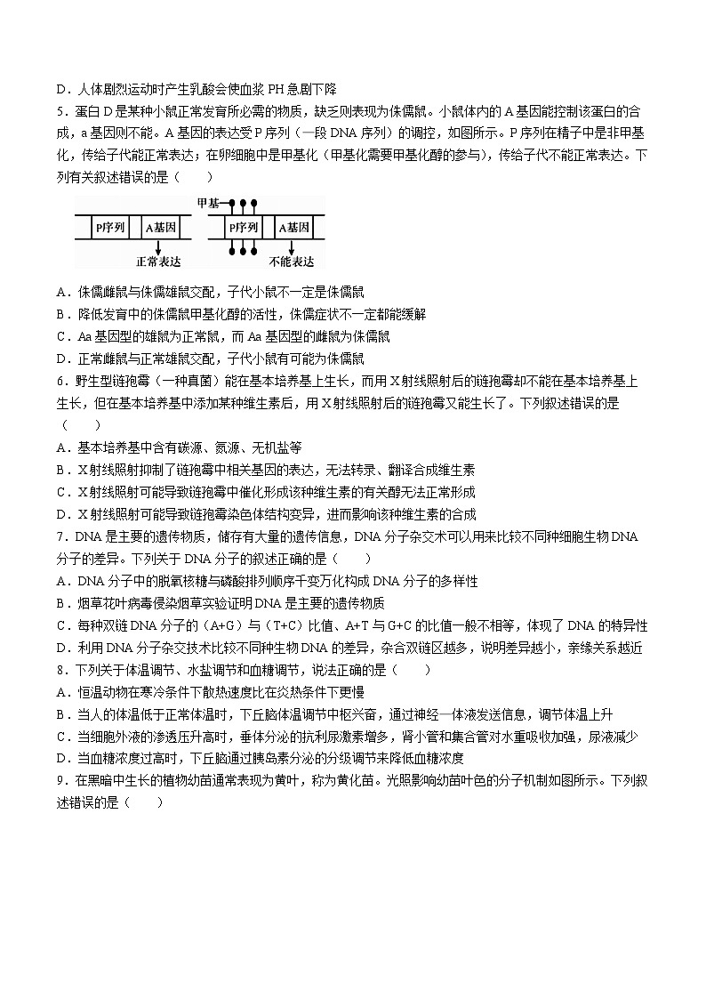 湖南省彬州市2022-2023学年高二生物下学期期末试题（Word版附答案）02