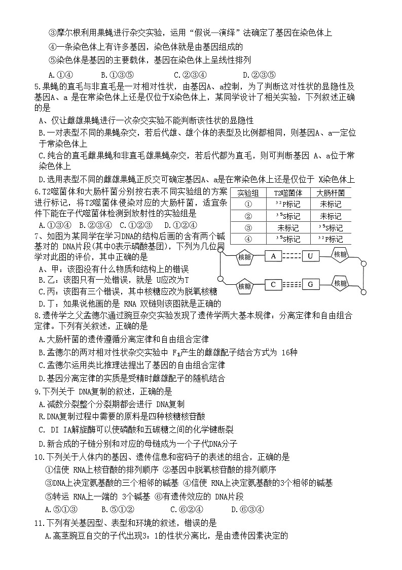 湖南省益阳市桃江县2022-2023学年高一生物下学期7月期末试题（Word版附答案）02