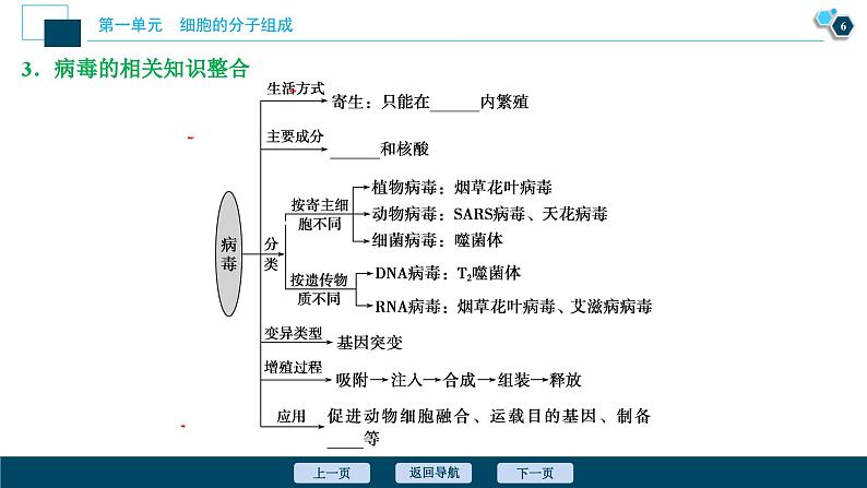 高考生物一轮复习课件第1单元　第1讲　走近细胞 (含解析)07