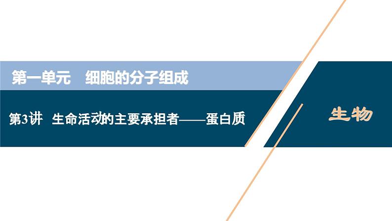 高考生物一轮复习课件第1单元　第3讲　生命活动的主要承担者 蛋白质 (含解析)第1页