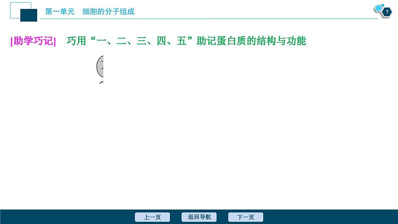 高考生物一轮复习课件第1单元　第3讲　生命活动的主要承担者 蛋白质 (含解析)第8页