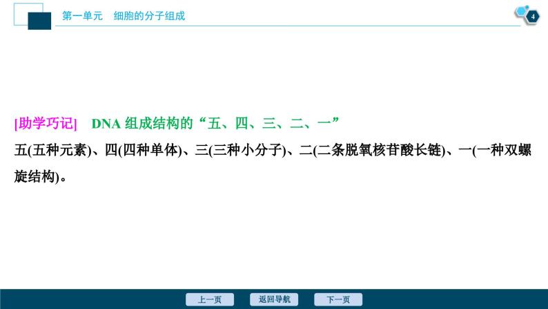 高考生物一轮复习课件第1单元　第4讲　核酸、糖类与脂质 (含解析)05