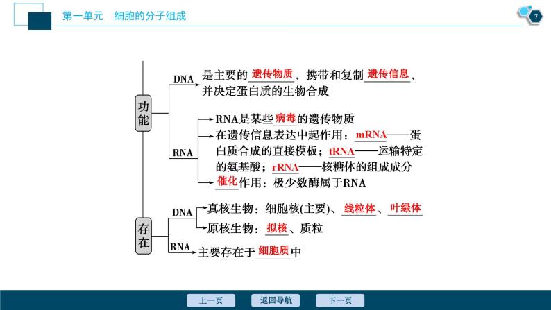 高考生物一轮复习课件第1单元　第4讲　核酸、糖类与脂质 (含解析)08