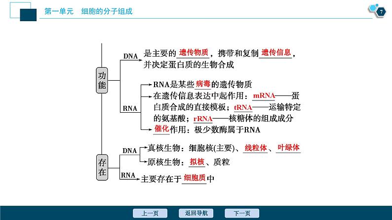 高考生物一轮复习课件第1单元　第4讲　核酸、糖类与脂质 (含解析)08