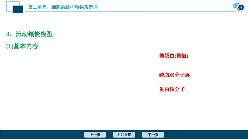 高考生物一轮复习课件第2单元　第5讲　细胞膜和细胞核 (含解析)第7页