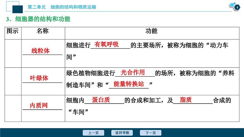 高考生物一轮复习课件第2单元　第6讲　细胞器和生物膜系统 (含解析)第5页