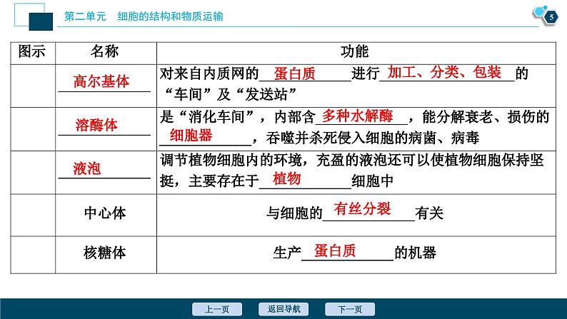 高考生物一轮复习课件第2单元　第6讲　细胞器和生物膜系统 (含解析)第6页