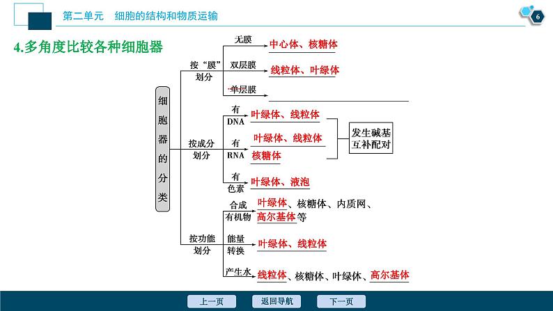 高考生物一轮复习课件第2单元　第6讲　细胞器和生物膜系统 (含解析)第7页