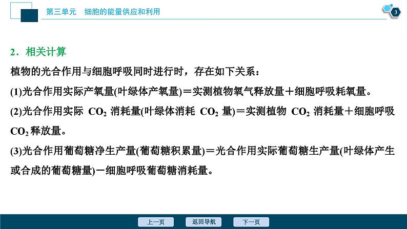 高考生物一轮复习课件第3单元　加强提升课(2)　辨析“三率”及“三率”测定的5种实验模型 (含解析)第4页