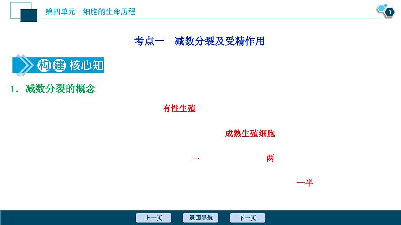 高考生物一轮复习课件第4单元　第12讲　减数分裂和受精作用 (含解析)04