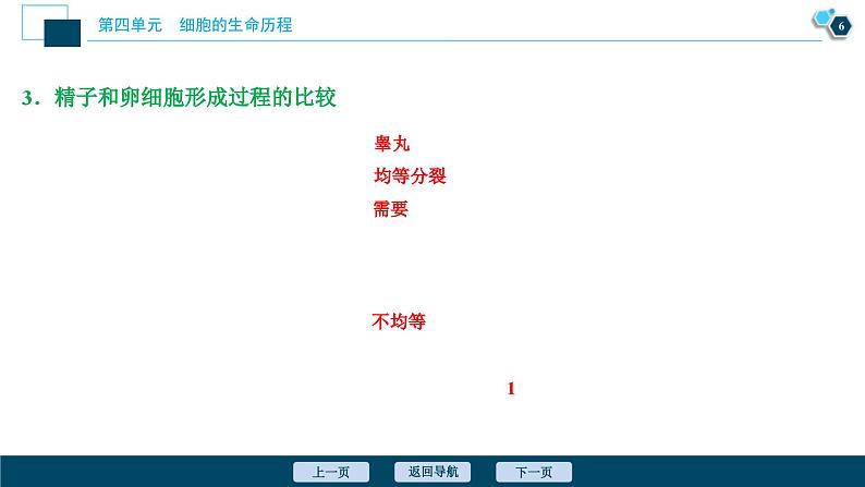 高考生物一轮复习课件第4单元　第12讲　减数分裂和受精作用 (含解析)07