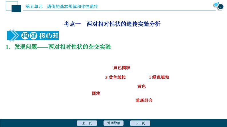 高考生物一轮复习课件第5单元　第15讲　基因的自由组合定律 (含解析)第4页