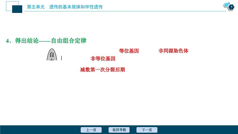 高考生物一轮复习课件第5单元　第15讲　基因的自由组合定律 (含解析)第8页