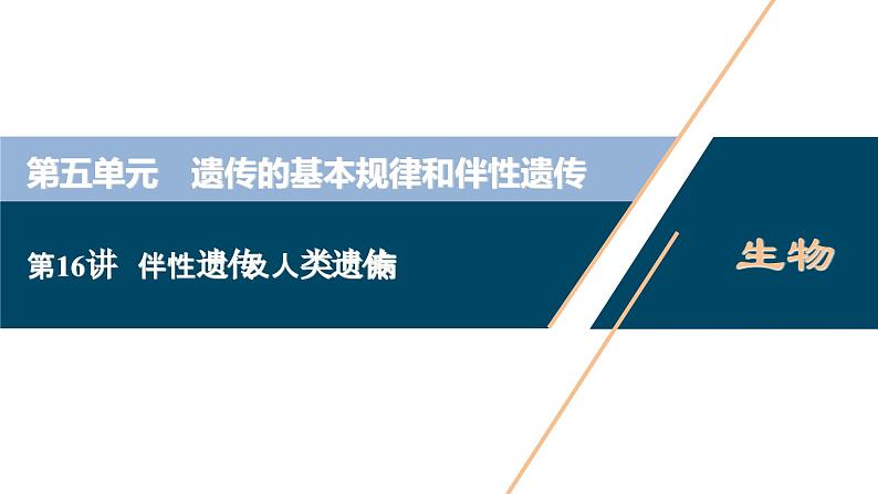 高考生物一轮复习课件第5单元　第16讲　伴性遗传及人类遗传病 (含解析)第1页