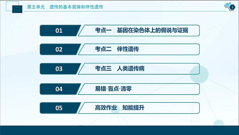 高考生物一轮复习课件第5单元　第16讲　伴性遗传及人类遗传病 (含解析)第2页