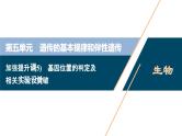 高考生物一轮复习课件第5单元　加强提升课(5)　基因位置的判定及相关实验设计突破 (含解析)