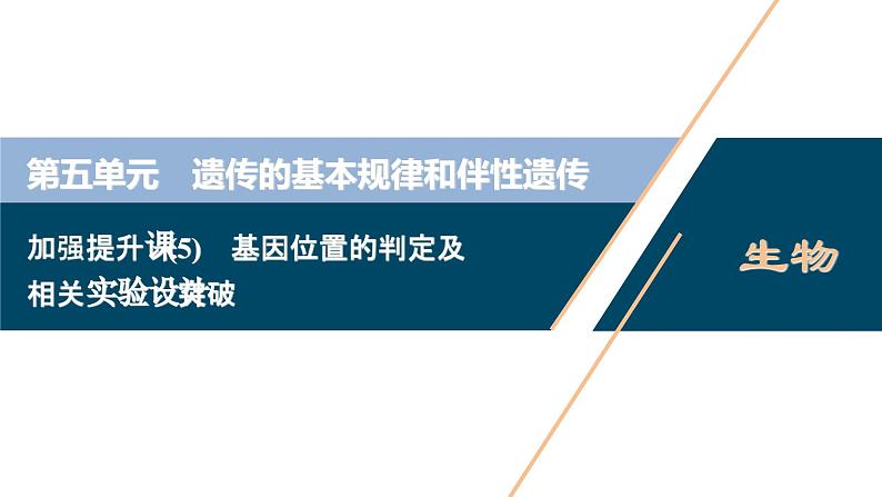 高考生物一轮复习课件第5单元　加强提升课(5)　基因位置的判定及相关实验设计突破 (含解析)01