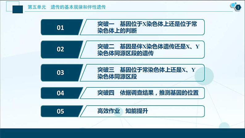 高考生物一轮复习课件第5单元　加强提升课(5)　基因位置的判定及相关实验设计突破 (含解析)02