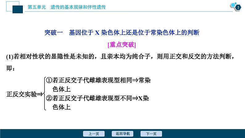 高考生物一轮复习课件第5单元　加强提升课(5)　基因位置的判定及相关实验设计突破 (含解析)03