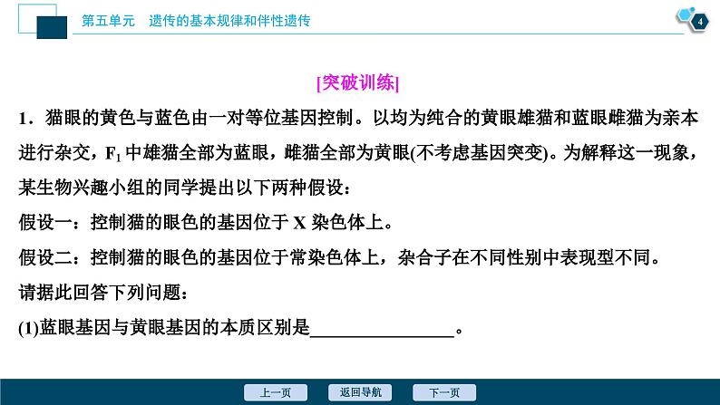 高考生物一轮复习课件第5单元　加强提升课(5)　基因位置的判定及相关实验设计突破 (含解析)05