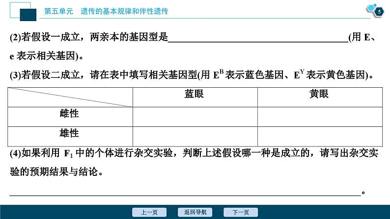 高考生物一轮复习课件第5单元　加强提升课(5)　基因位置的判定及相关实验设计突破 (含解析)06