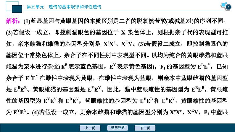 高考生物一轮复习课件第5单元　加强提升课(5)　基因位置的判定及相关实验设计突破 (含解析)07