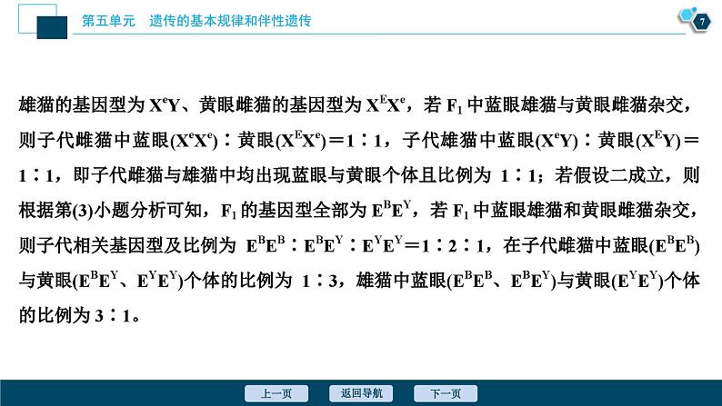 高考生物一轮复习课件第5单元　加强提升课(5)　基因位置的判定及相关实验设计突破 (含解析)08