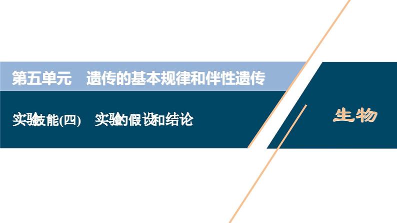 高考生物一轮复习课件第5单元　实验技能(四)　实验的假设和结论 (含解析)第1页