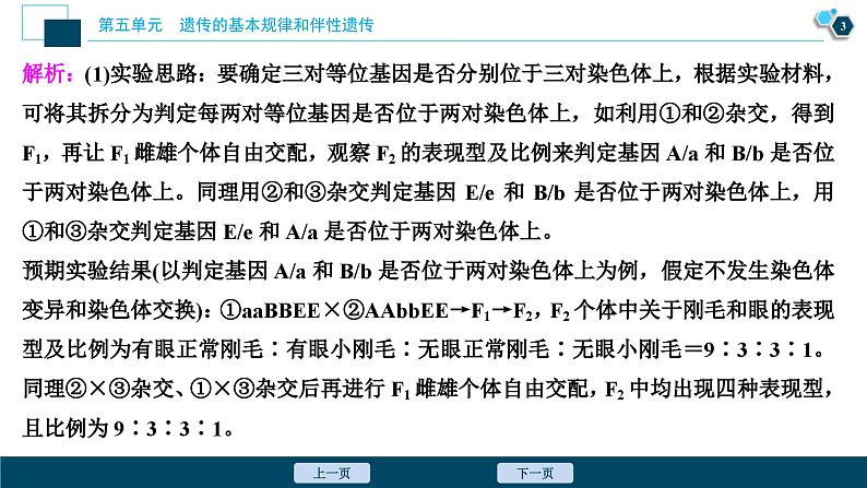 高考生物一轮复习课件第5单元　实验技能(四)　实验的假设和结论 (含解析)第4页