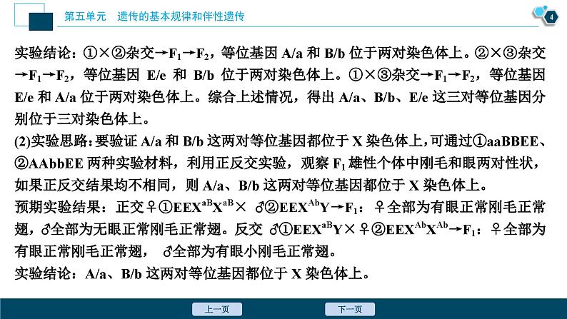 高考生物一轮复习课件第5单元　实验技能(四)　实验的假设和结论 (含解析)第5页