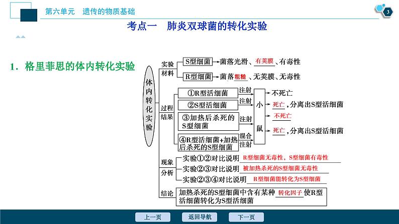 高考生物一轮复习课件第6单元　第17讲　DNA是主要的遗传物质 (含解析)第4页