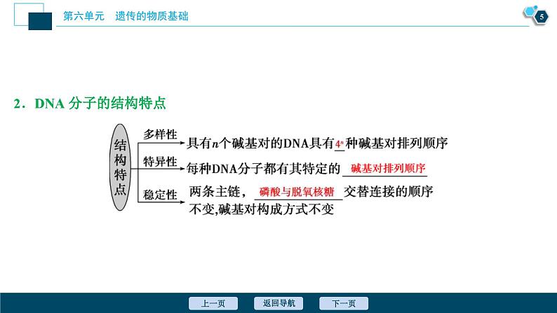 高考生物一轮复习课件第6单元　第18讲　DNA分子的结构、复制及基因的本质 (含解析)06