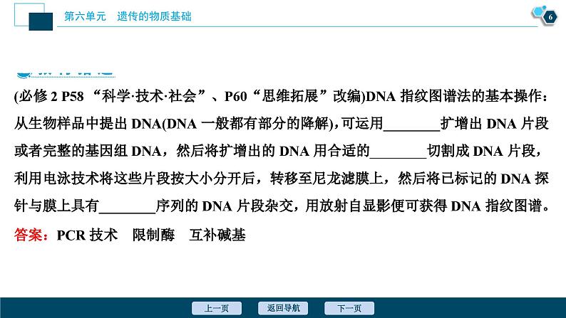 高考生物一轮复习课件第6单元　第18讲　DNA分子的结构、复制及基因的本质 (含解析)07