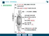高考生物一轮复习课件第6单元　第19讲　基因的表达 (含解析)