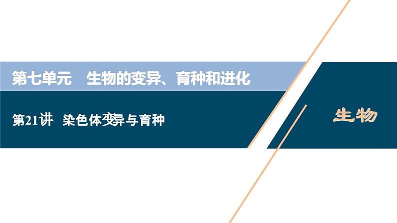 高考生物一轮复习课件第7单元　第21讲　染色体变异与育种 (含解析)第1页