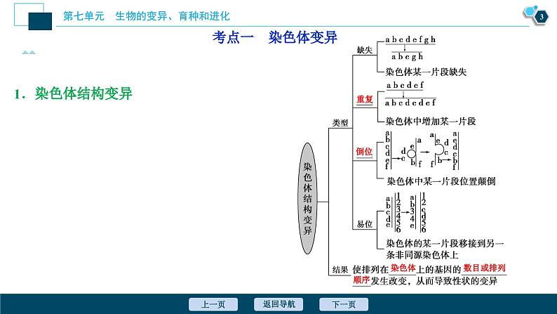 高考生物一轮复习课件第7单元　第21讲　染色体变异与育种 (含解析)第4页