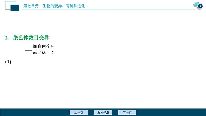 高考生物一轮复习课件第7单元　第21讲　染色体变异与育种 (含解析)第5页