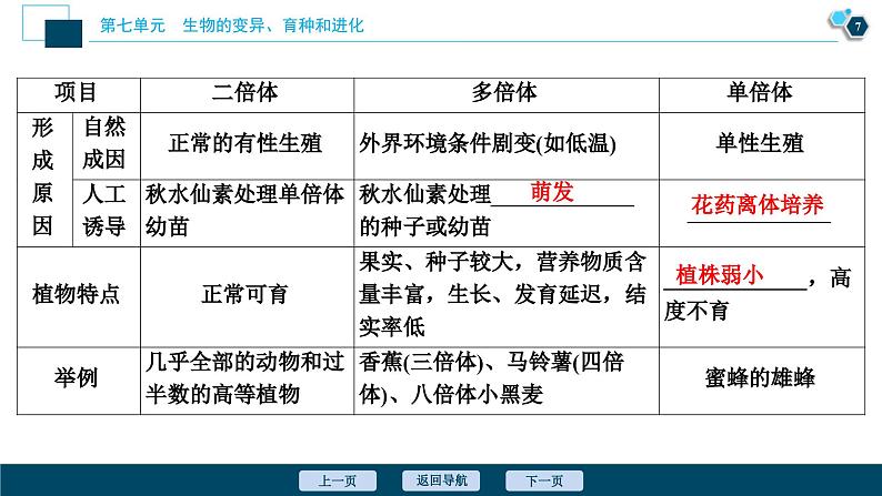 高考生物一轮复习课件第7单元　第21讲　染色体变异与育种 (含解析)第8页