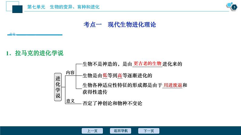 高考生物一轮复习课件第7单元　第22讲　生物的进化 (含解析)04
