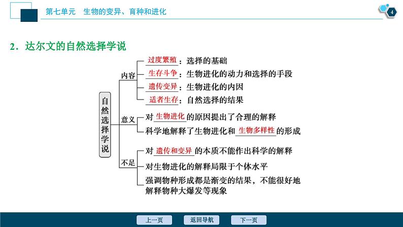 高考生物一轮复习课件第7单元　第22讲　生物的进化 (含解析)05