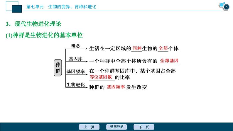 高考生物一轮复习课件第7单元　第22讲　生物的进化 (含解析)06