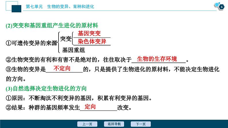 高考生物一轮复习课件第7单元　第22讲　生物的进化 (含解析)07
