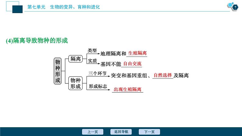 高考生物一轮复习课件第7单元　第22讲　生物的进化 (含解析)08