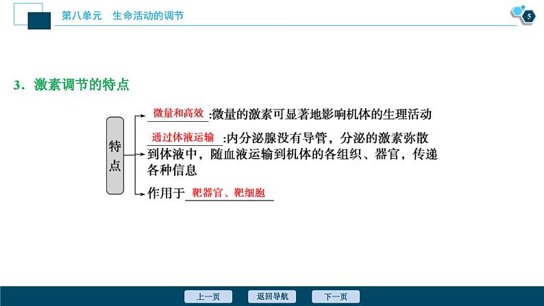 高考生物一轮复习课件第8单元　第25讲　激素调节、神经调节与体液调节的关系 (含解析)06