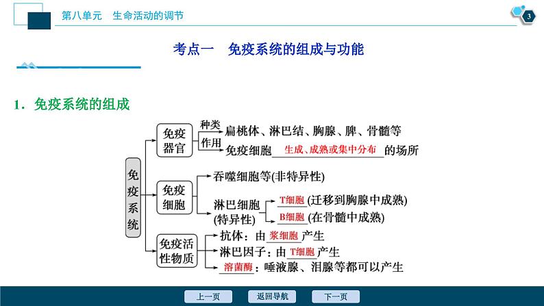 高考生物一轮复习课件第8单元　第26讲　免疫调节 (含解析)第4页